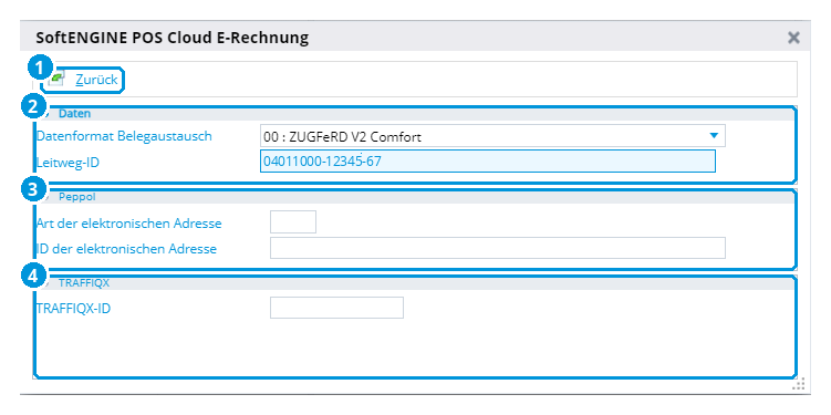 Abb. 62: Einstellungen für die E-Rechnung (Demo-Daten)
